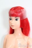 画像2: momokoDOLL/momoko ver.04RXb S-25-03-23-173-GN-ZS (2)