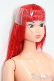 画像3: momokoDOLL/momoko ver.04RXb S-25-03-23-173-GN-ZS (3)