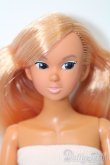画像1: momokoDOLL/momoko ver.03PS S-25-03-23-162-GN-ZS (1)