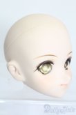 画像3: DD/キャンディ スタンダード Ver. S-25-03-16-222-GN-ZS (3)