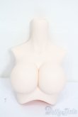 画像2: DD2.0/(DD-f3)-B-L-SW 上半身パーツ L胸 S-25-04-27-330-GN-ZS (2)