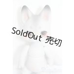 画像: KUMUKUKU/Xass S-25-08-17-318-GN-ZS