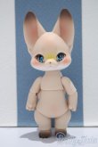 画像1: 【新宿マルイアネックス店 店頭販売商品】KUMUKUKU/Kiri 2100150000008486-ZM (1)