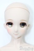 画像1: DD/アスナ ティターニアVer. S-25-03-23-170-GN-ZS (1)
