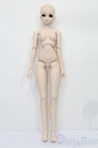 画像4: DD/アスナ ティターニアVer. S-25-03-23-170-GN-ZS (4)