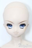 画像1: DD/涼宮ハルヒ S-25-03-23-169-GN-ZS (1)