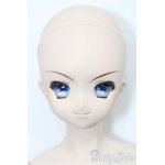 画像: DD/涼宮ハルヒ S-25-03-23-169-GN-ZS