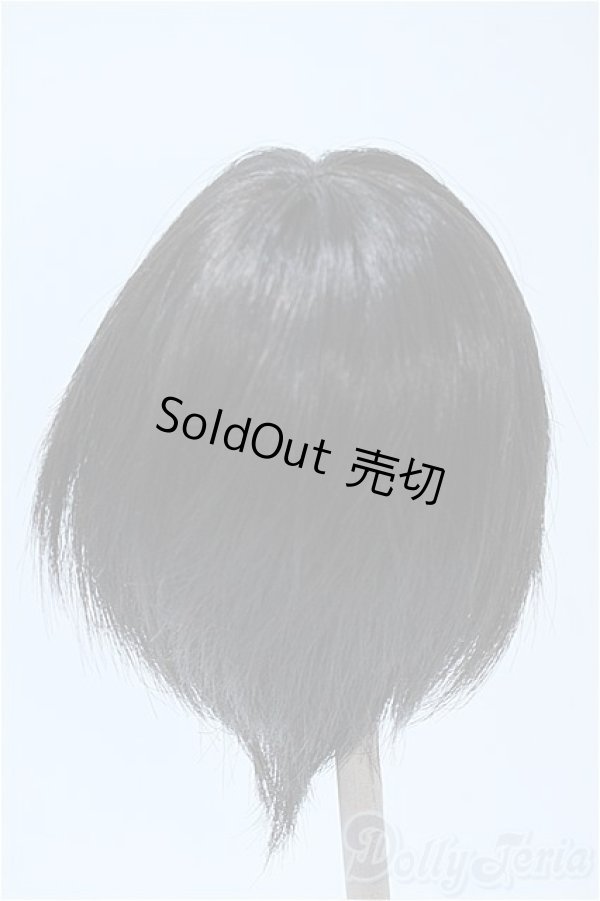 画像2: 9-10inch/ウィッグ Y-25-03-26-265-GN-ZY (2)
