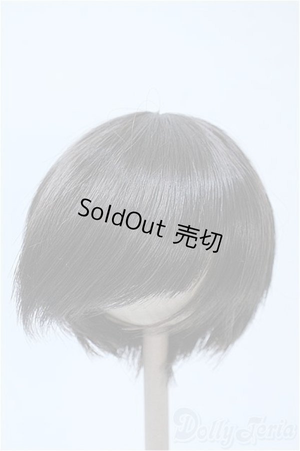 画像1: 9-10inch/ウィッグ Y-25-03-26-285-GN-ZY (1)