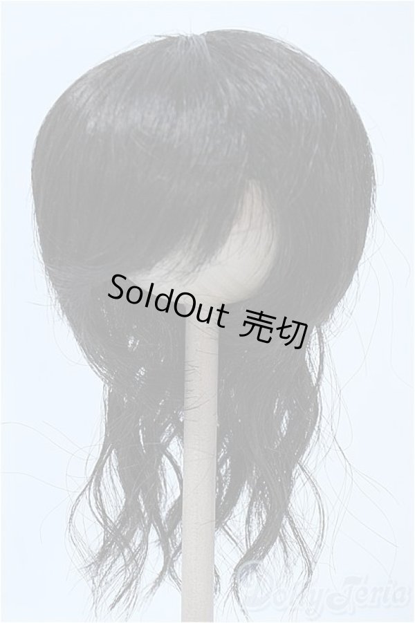 画像1: 9-10inch/ウィッグ Y-25-03-26-264-GN-ZY (1)