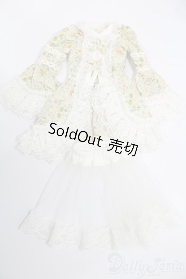 画像1: SDM＆MSD/OF:衣装セット S-25-08-24-524-GN-ZS (1)