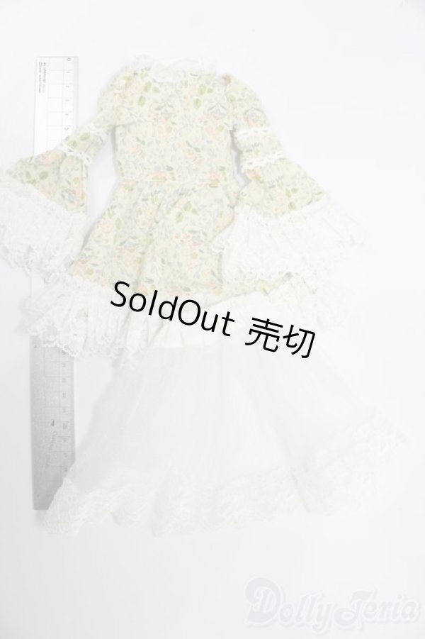 画像2: SDM＆MSD/OF:衣装セット S-25-08-24-524-GN-ZS (2)