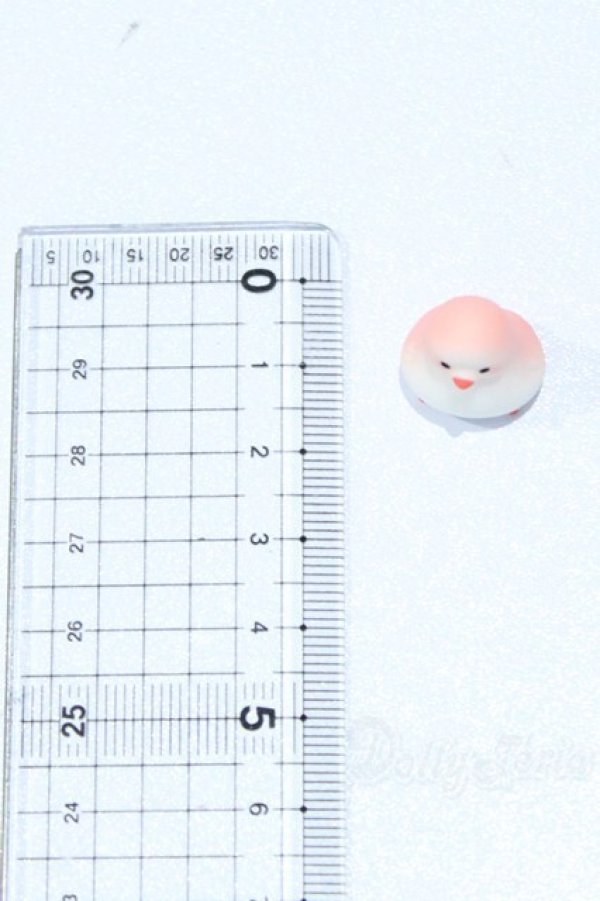 画像3: KUMUKUKU/Special Big Show S-25-09-14-046-GN-ZS (3)