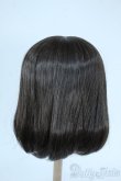 画像2: 9inch/ウィッグ Y-25-10-29-101-GN-ZY (2)