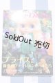 画像: 【新宿マルイアネックス店 店頭販売商品】書籍/Dolly Dolly vol.2 2100150000008959-ZM