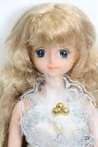 画像1: ジェニー/夢見るバレリーナ チェルシー バレエ S-25-03-30-149-GN-ZS (1)