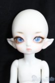 画像1: LUTS/Tiny20Delf:KAI ELFver. S-25-03-30-202-GN-ZS (1)
