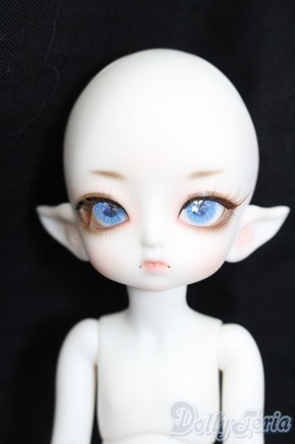 画像1: LUTS/Tiny20Delf:KAI ELFver. S-25-03-30-202-GN-ZS (1)