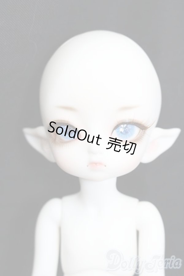 画像1: LUTS/Tiny20Delf:KAI ELFver. S-25-03-30-202-GN-ZS (1)