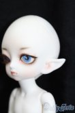 画像2: LUTS/Tiny20Delf:KAI ELFver. S-25-03-30-202-GN-ZS (2)