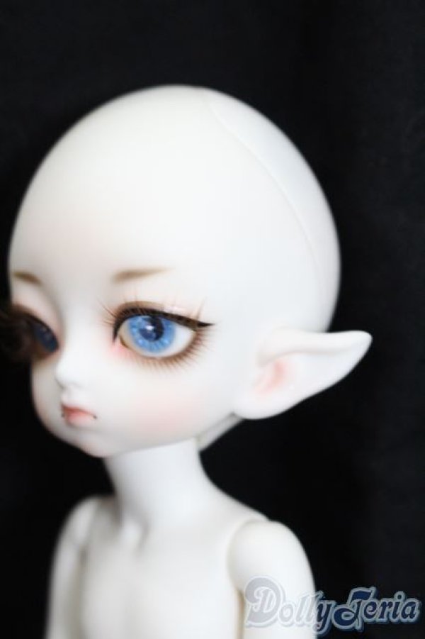 画像2: LUTS/Tiny20Delf:KAI ELFver. S-25-03-30-202-GN-ZS (2)