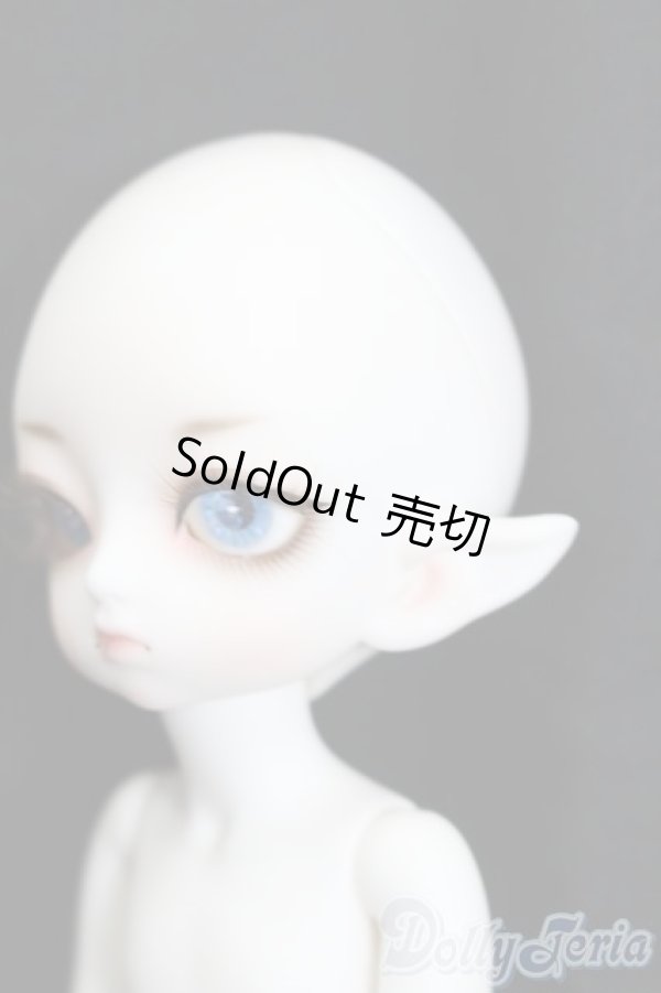 画像2: LUTS/Tiny20Delf:KAI ELFver. S-25-03-30-202-GN-ZS (2)