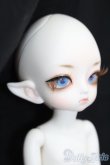 画像3: LUTS/Tiny20Delf:KAI ELFver. S-25-03-30-202-GN-ZS (3)