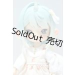 画像: ANTU/カスタムドール S-26-02-08-395-GN-ZS