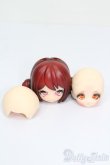 画像9: UFDOLL/カスタムドールセット S-25-03-30-228-GN-ZS (9)