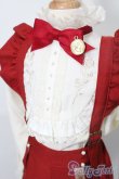画像4: SD13BOY/OF:RoseGarden衣装セット　Melody.C様製 S-25-04-06-024-GN-ZS (4)