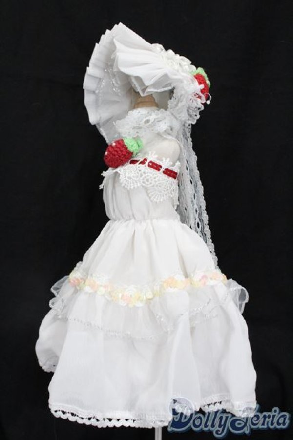 画像2: MDD/OF:衣装セット S-25-04-06-053-GN-ZS (2)