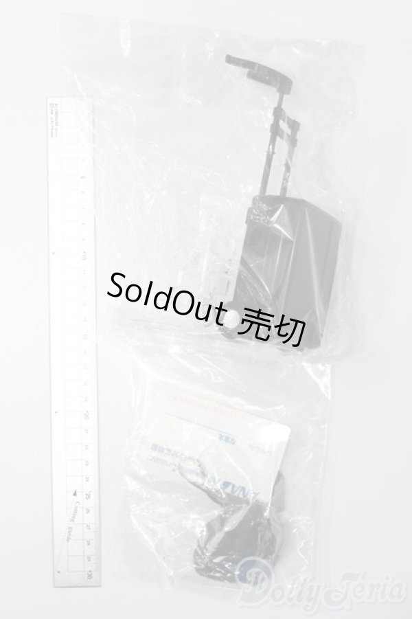 画像7: リカちゃん/ANA's ウォーキングリカちゃん S-25-09-14-540-GN-ZS (7)