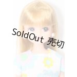 画像: リカちゃん/リカちゃん S-26-01-18-427-GN-ZS