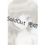 画像: MDD/ドリームチョイス:DC-H-17 S-25-04-06-105-GN-ZS