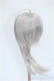 画像2: 9inch/ウィッグ ウルフロング みさんとるーぷ様製 Y-25-04-09-199-GN-ZY (2)