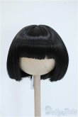 画像1: 8-9inch/ウィッグ Y-25-04-09-115-GN-ZY (1)