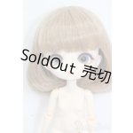 画像: Harmonia bloom(ハルモニアブルーム)/ユリ S-25-12-14-563-GN-ZS