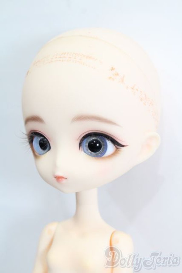 画像3: Harmonia bloom(ハルモニアブルーム)/ユリ S-25-12-14-563-GN-ZS (3)