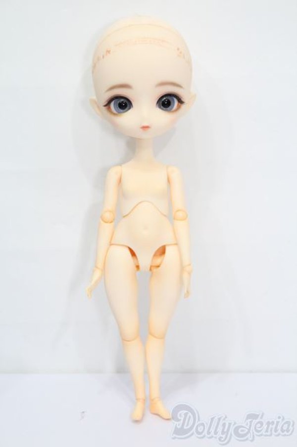 画像5: Harmonia bloom(ハルモニアブルーム)/ユリ S-25-12-14-563-GN-ZS (5)