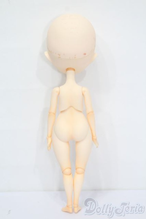 画像6: Harmonia bloom(ハルモニアブルーム)/ユリ S-25-12-14-563-GN-ZS (6)