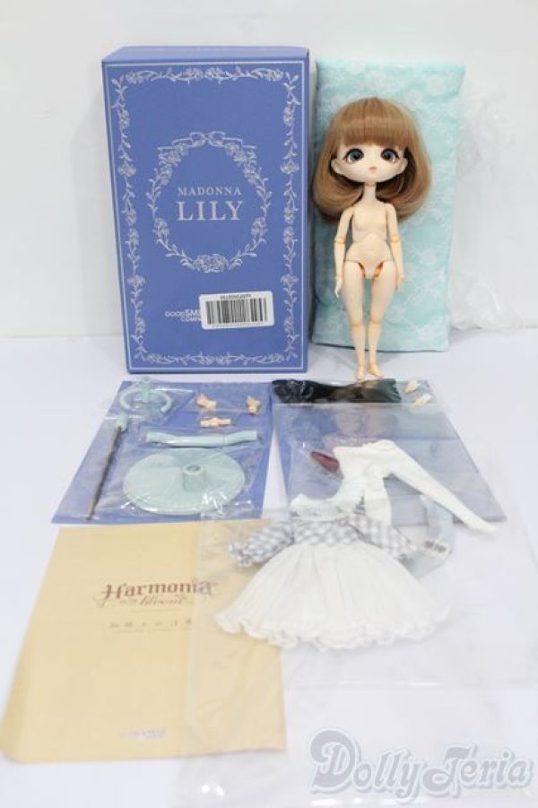 画像7: Harmonia bloom(ハルモニアブルーム)/ユリ S-25-12-14-563-GN-ZS (7)