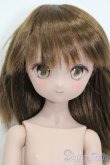 画像1: MDD/ドリームチョイス:DC-H-17 S-25-04-13-009-GN-ZS (1)