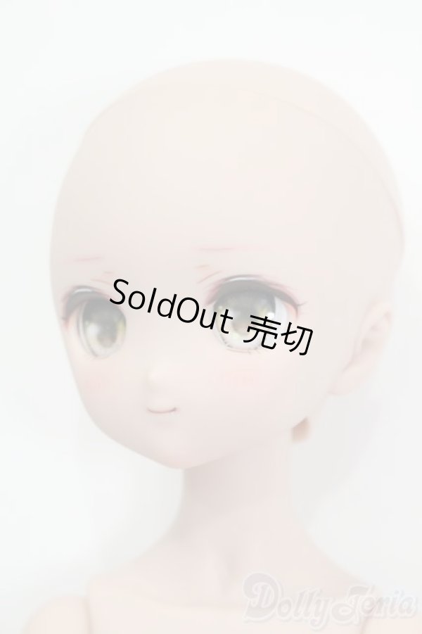 画像3: MDD/ドリームチョイス:DC-H-17 S-25-04-13-009-GN-ZS (3)