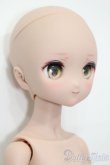 画像4: MDD/ドリームチョイス:DC-H-17 S-25-04-13-009-GN-ZS (4)