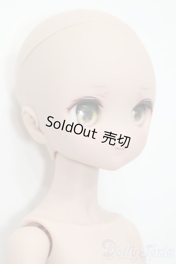 画像4: MDD/ドリームチョイス:DC-H-17 S-25-04-13-009-GN-ZS (4)