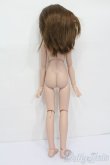 画像6: MDD/ドリームチョイス:DC-H-17 S-25-04-13-009-GN-ZS (6)