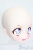 画像3: DD/DDH-22:カスタムヘッド S-25-04-13-019-GN-ZS (3)
