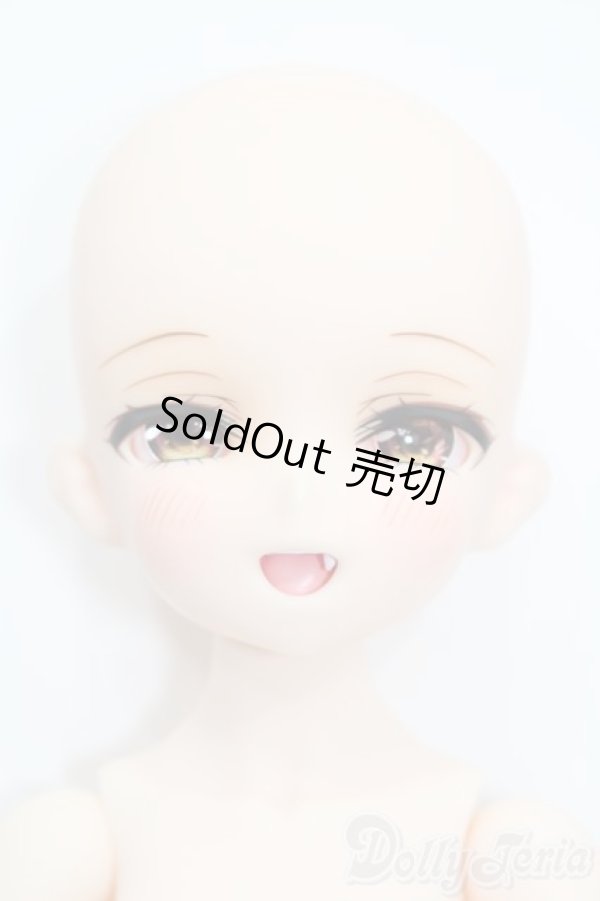 画像1: DOLLBOT/DBC 伽耶 2nd Ver.（プラチナ肌） S-25-04-13-201-GN-ZS (1)