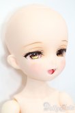 画像3: DOLLBOT/DBC 伽耶 2nd Ver.（プラチナ肌） S-25-04-13-201-GN-ZS (3)