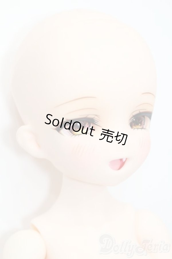 画像3: DOLLBOT/DBC 伽耶 2nd Ver.（プラチナ肌） S-25-04-13-201-GN-ZS (3)